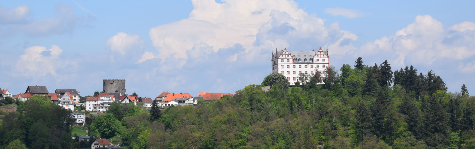 Fischbachtal Panorama